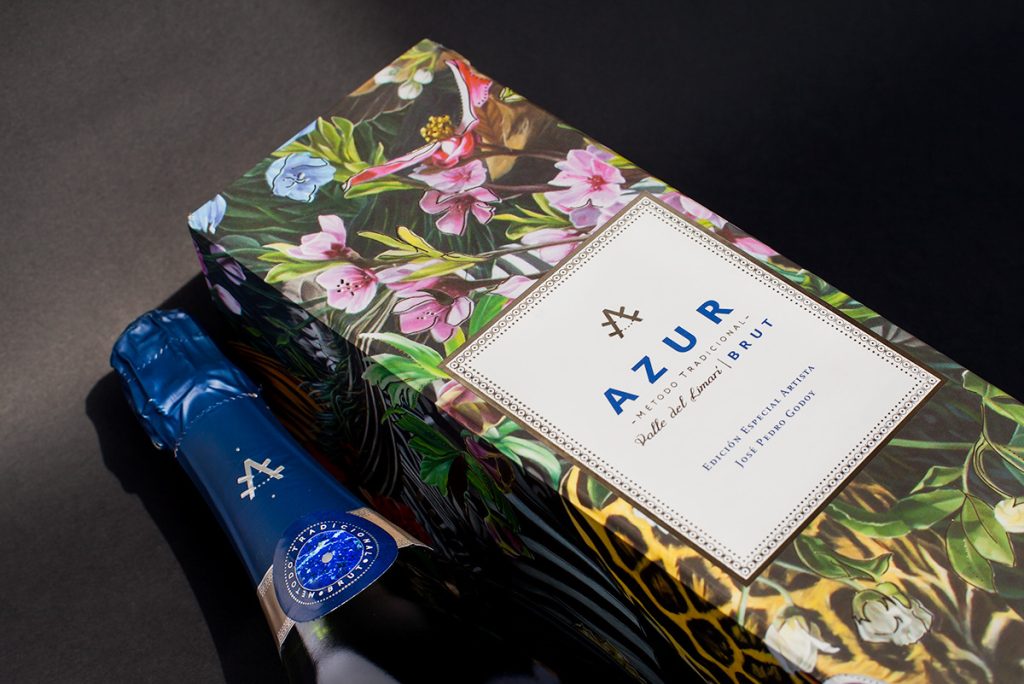 jose-pedro-godoy-arte