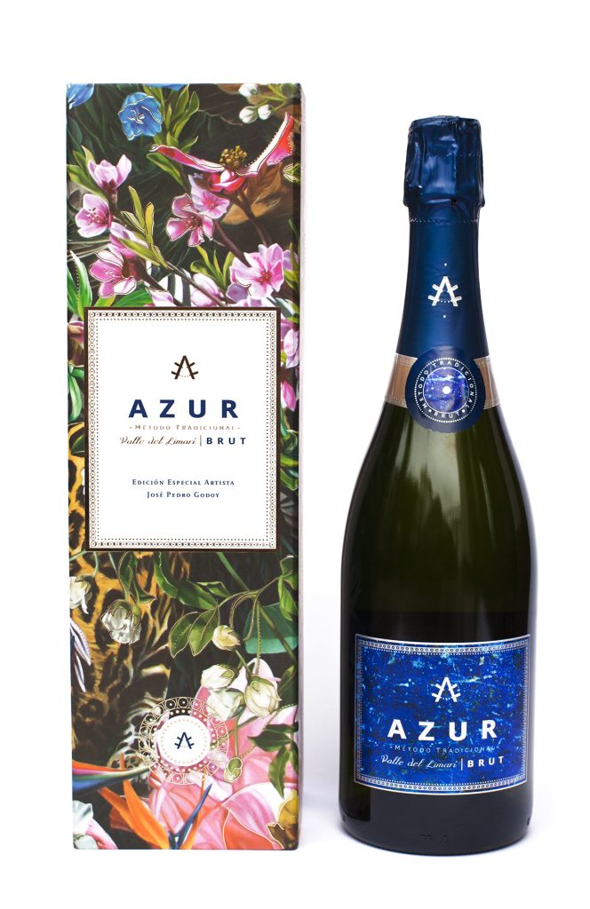 jose-pedro-godoy-obra