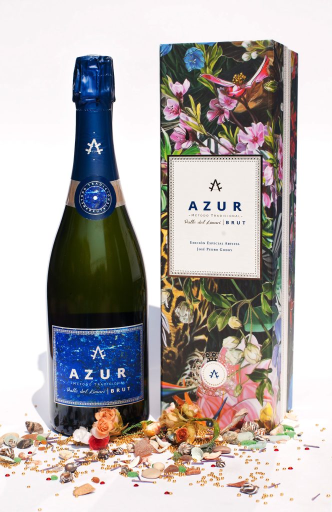 jose-pedro-godoy-obra