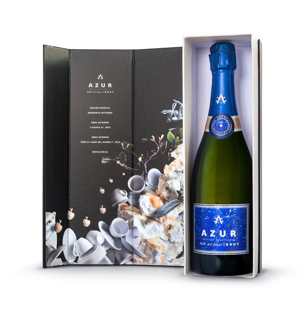 margarita-dittborn-arte